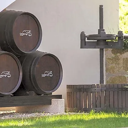 ホテル Lamego Douro Valley
