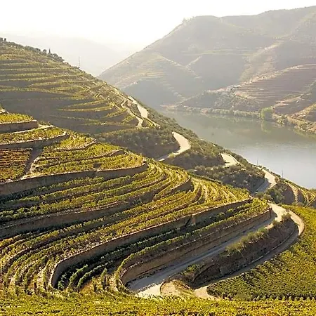 ホテル Lamego Douro Valley
